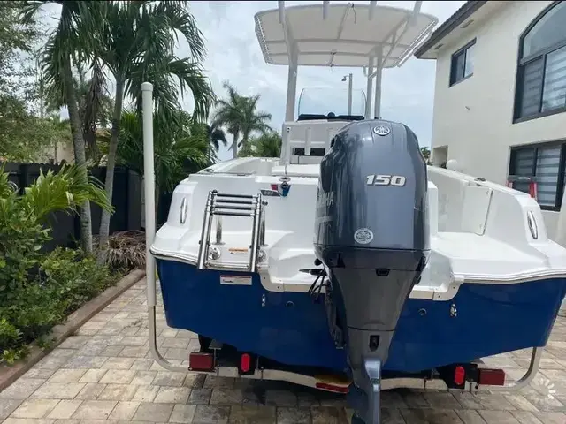 Scarab Boats Wellcraft 222