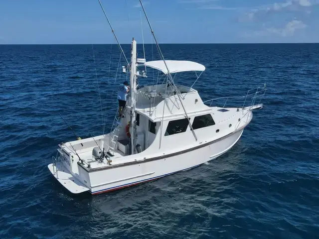 Wilbur 38