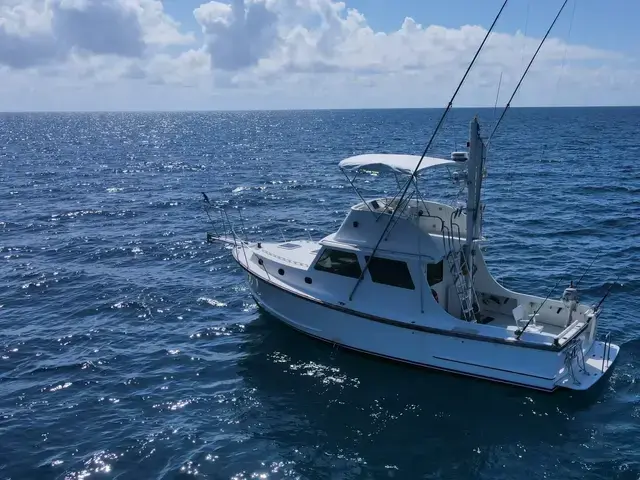 Wilbur 38