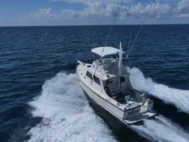 Wilbur 38