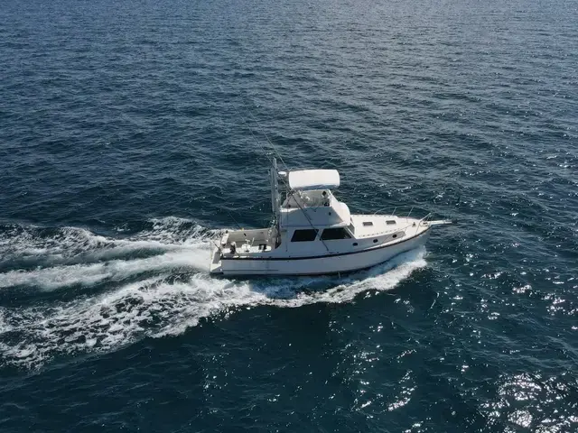 Wilbur 38