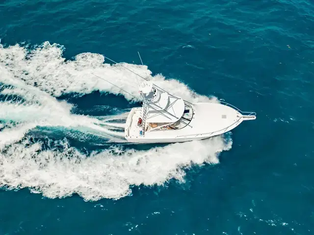 Viking 42 Open