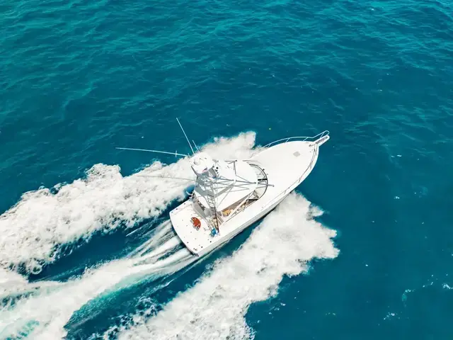 Viking 42 Open