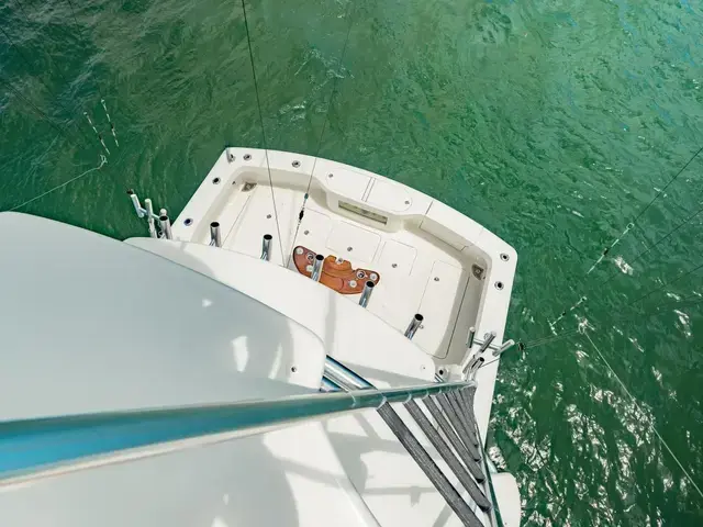 Viking 42 Open