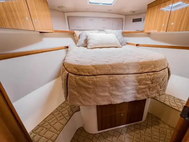 Viking 42 Open