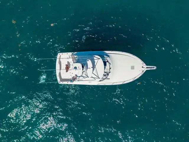 Viking 42 Open