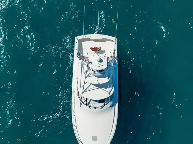 Viking 42 Open