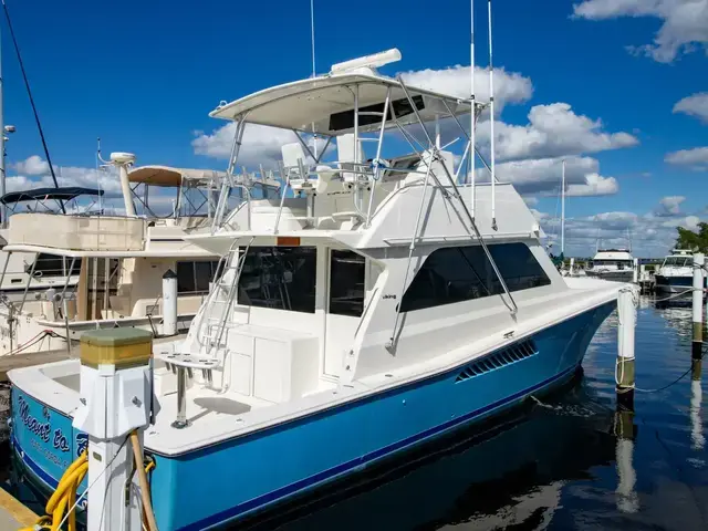 Viking 50 Convertible