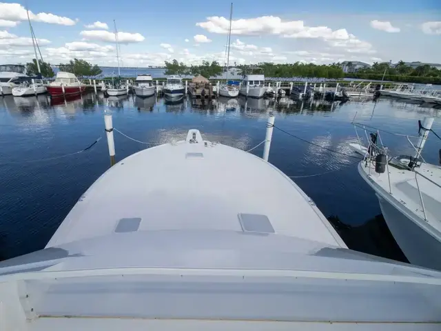 Viking 50 Convertible