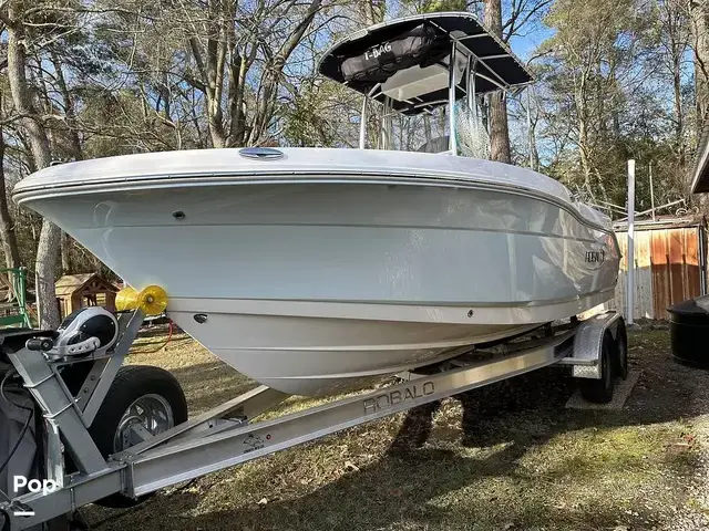 Robalo R200