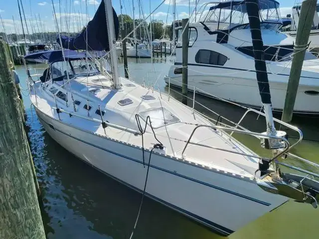 Catalina 400