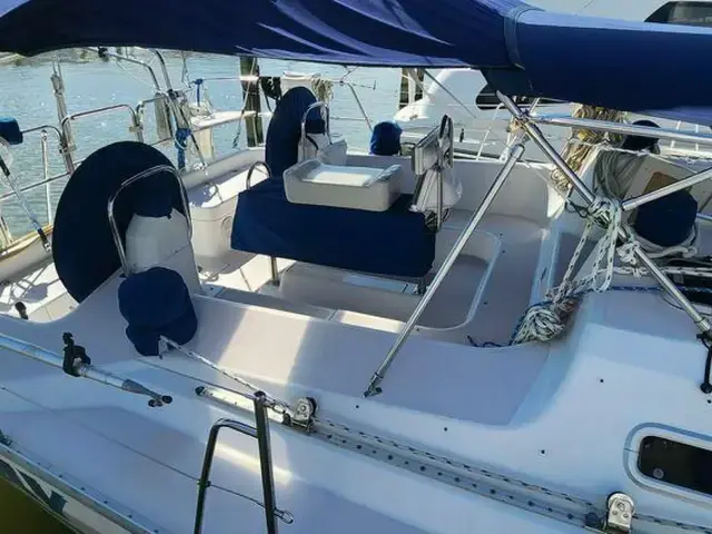 Catalina 400