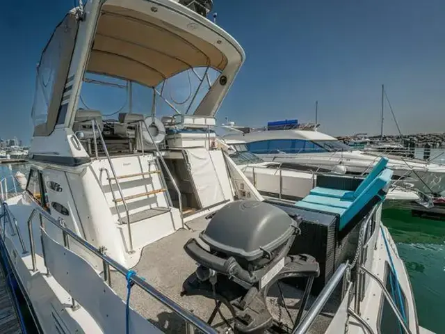 Sea Ray 410 Aft Cabin