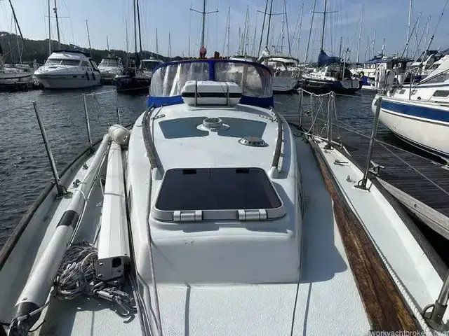 Contessa 32