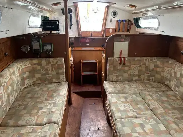 Contessa 32