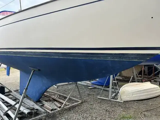 Contessa 32