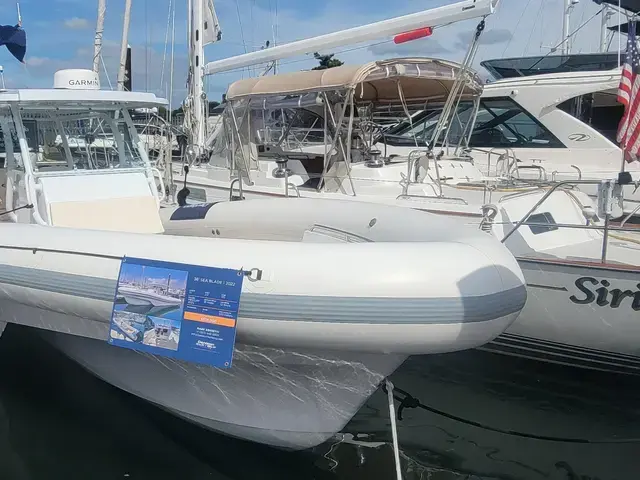 Sea Ray 36'