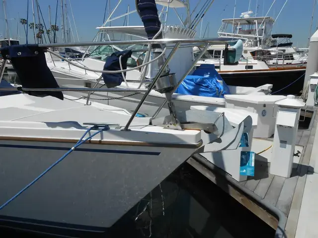 Catalina 42