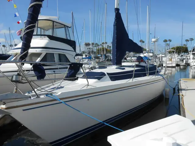 Catalina 42