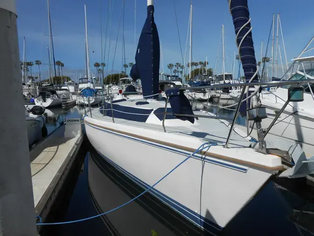 Catalina 42