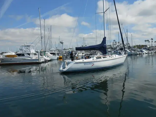 Catalina 42