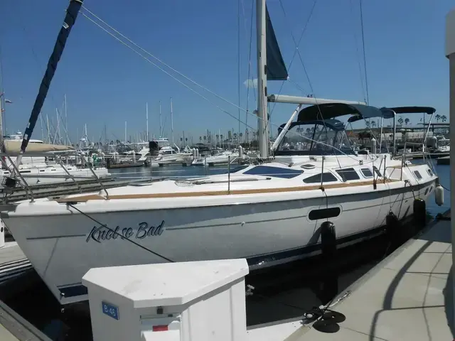 Hunter 42'