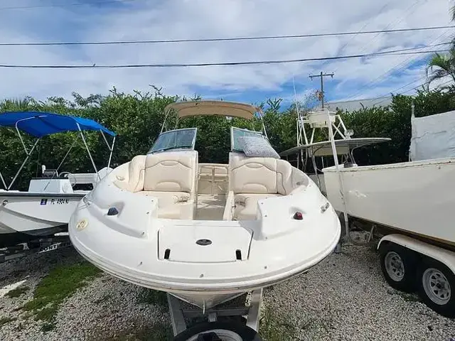 Sea Ray 270 Sundeck