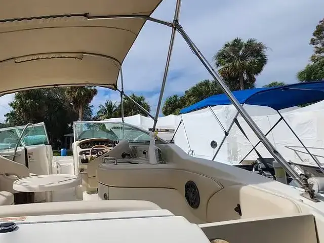 Sea Ray 270 Sundeck