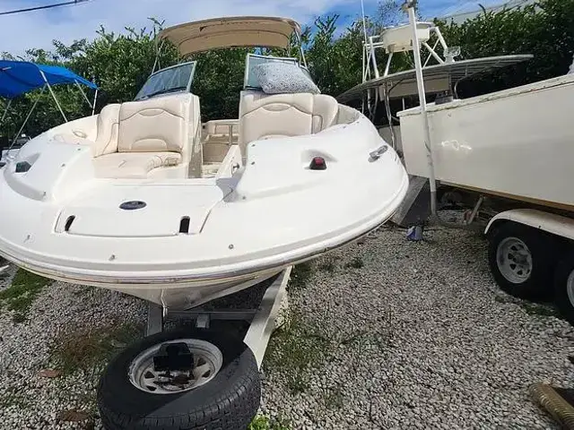 Sea Ray 270 Sundeck