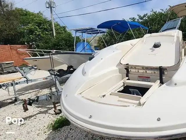 Sea Ray 270 Sundeck