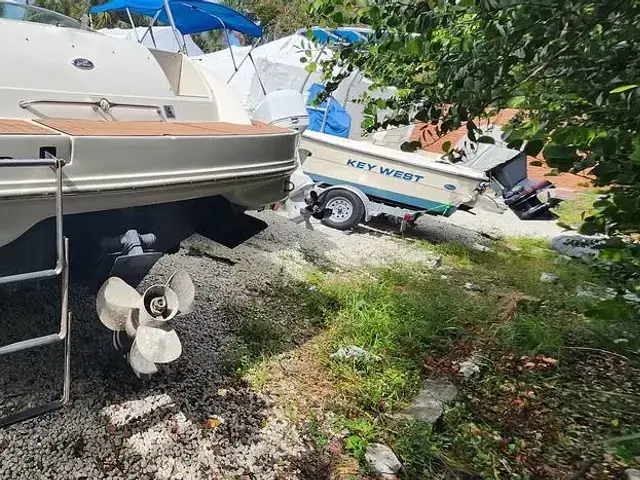 Sea Ray 270 Sundeck