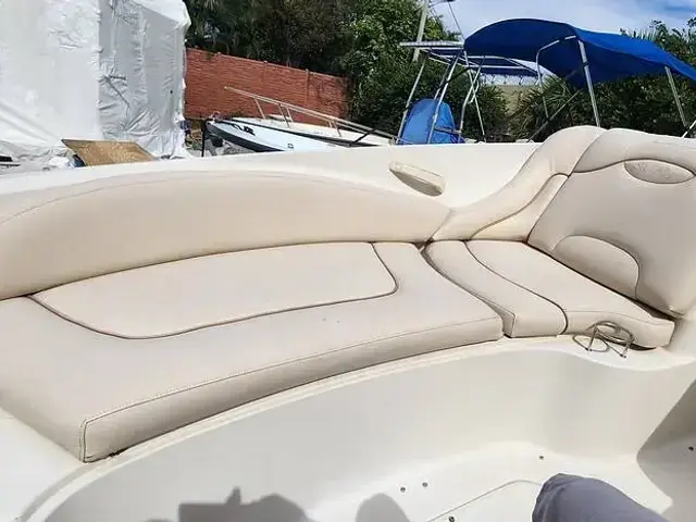 Sea Ray 270 Sundeck