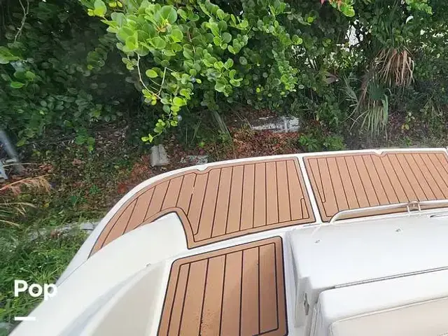 Sea Ray 270 Sundeck