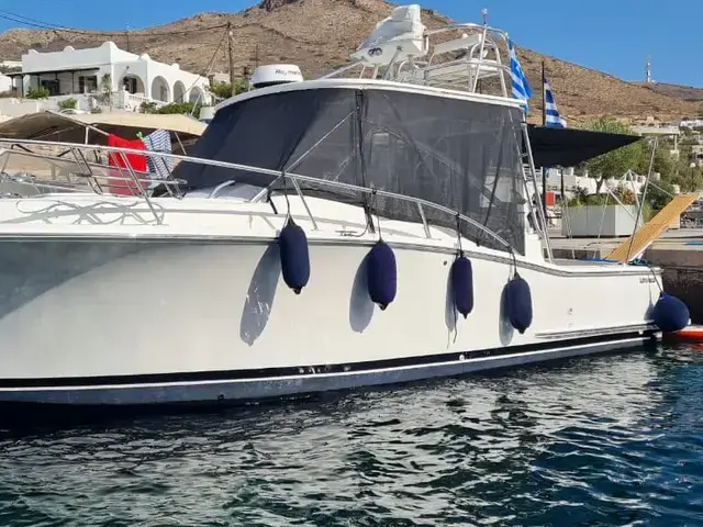 Luhrs 31