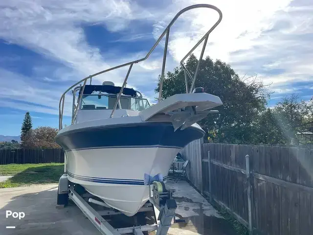 Wellcraft Sportsman 250