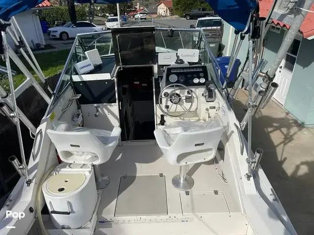 Wellcraft Sportsman 250