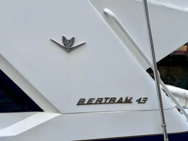 Bertram 43 Convertible