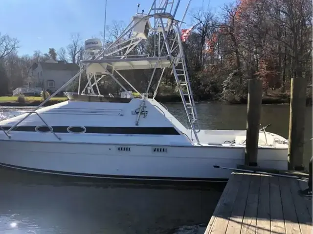 Luhrs 290 Express Sportfish with Tower