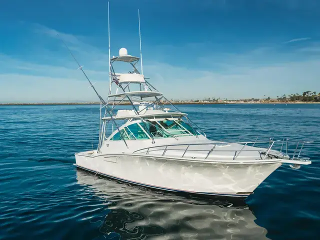 Cabo 40 Convertible