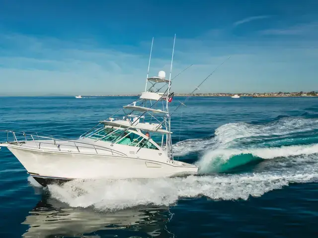 Cabo 40 Convertible