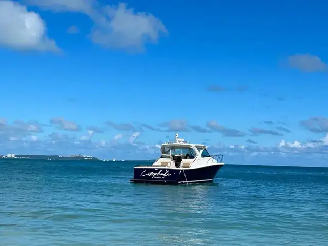 Tiara 36'