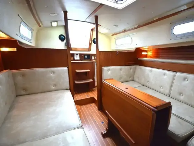 Contessa 32