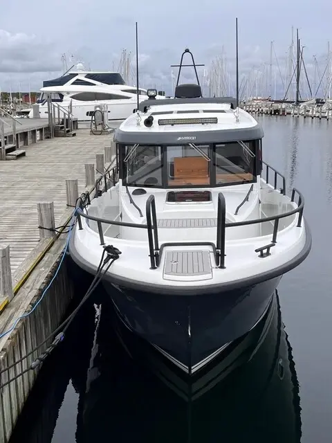 Sargo 31