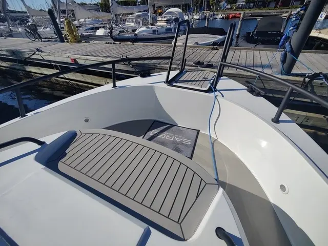 Sargo 31