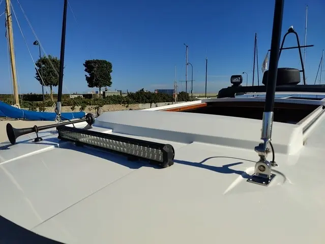 Sargo 31