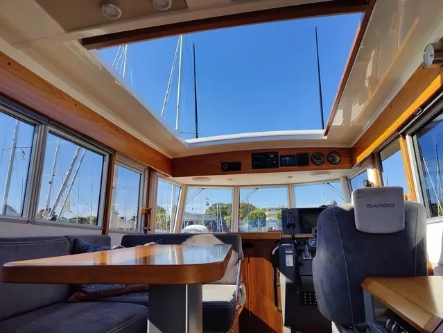 Sargo 31