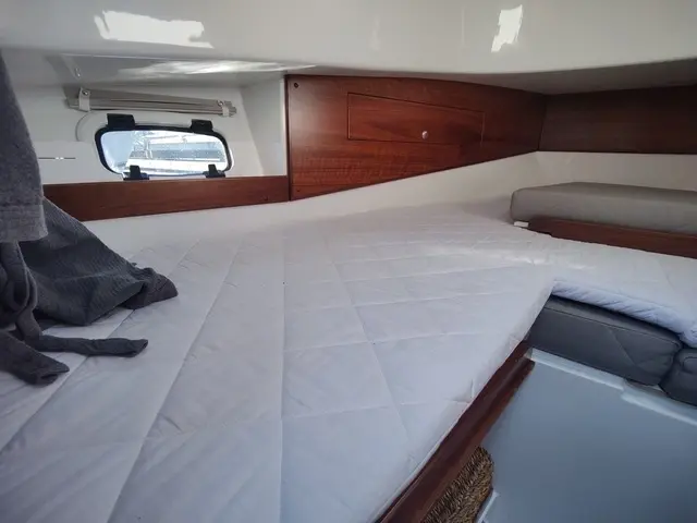 Sargo 31