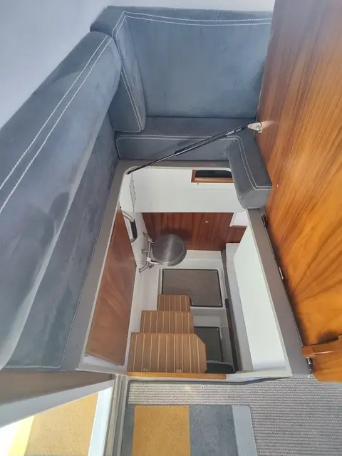 Sargo 31