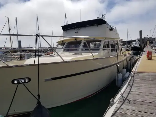 Sea Ranger 448