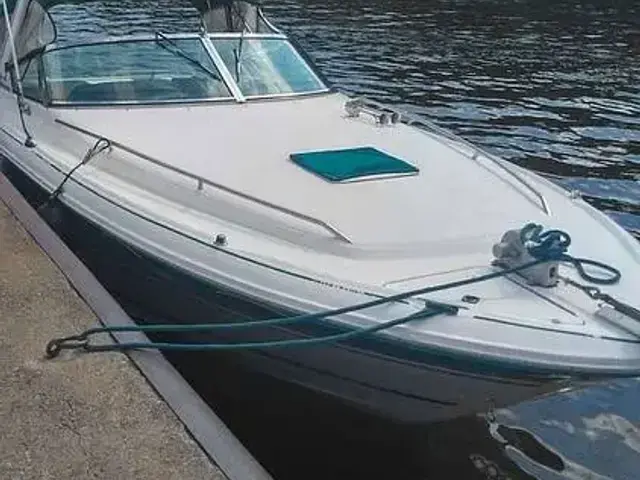 Sea Ray 310 Sun Sport